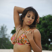Sanjana Galrani hot in Mugguru pictures | Picture 47989